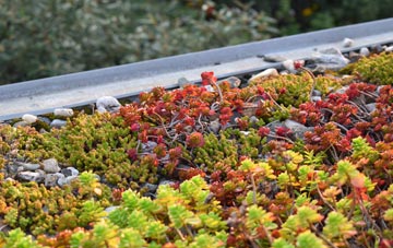 the cost of Skinflats green roof installation