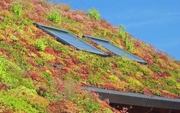 Skinflats living roof systems