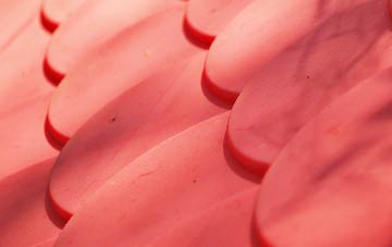 Skinflats plastic roof costs