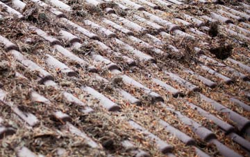 Skinflats roof cleaning companies