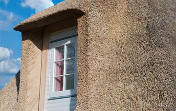 Skinflats thatch roof disadvantages