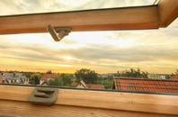 rated Skinflats roof window companies