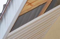 rated Skinflats soffit repair companies